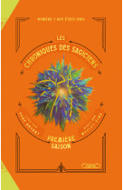 Les chroniques des sagiciens - tome 2 première saison