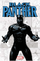 Marvel-verse : black panther