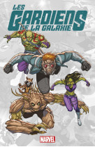 Marvel-verse : gardiens de la galaxie