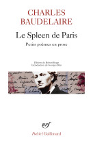 Le spleen de paris