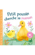 Petit poussin cherche sa maman