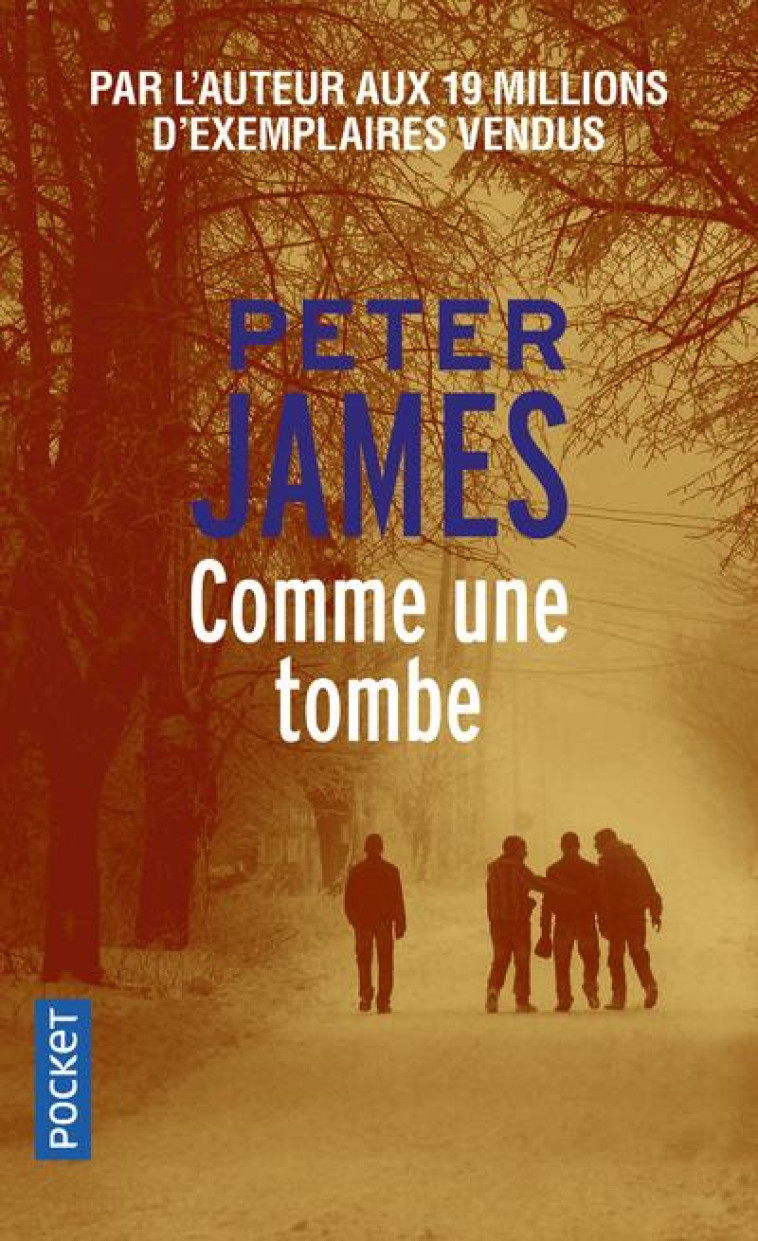 COMME UNE TOMBE - JAMES PETER - POCKET