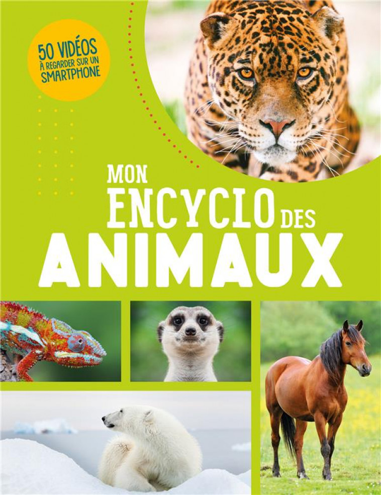 MON ENCYCLO DES ANIMAUX - IDEES BOOK CREATIONS - 1 2 3 SOLEIL