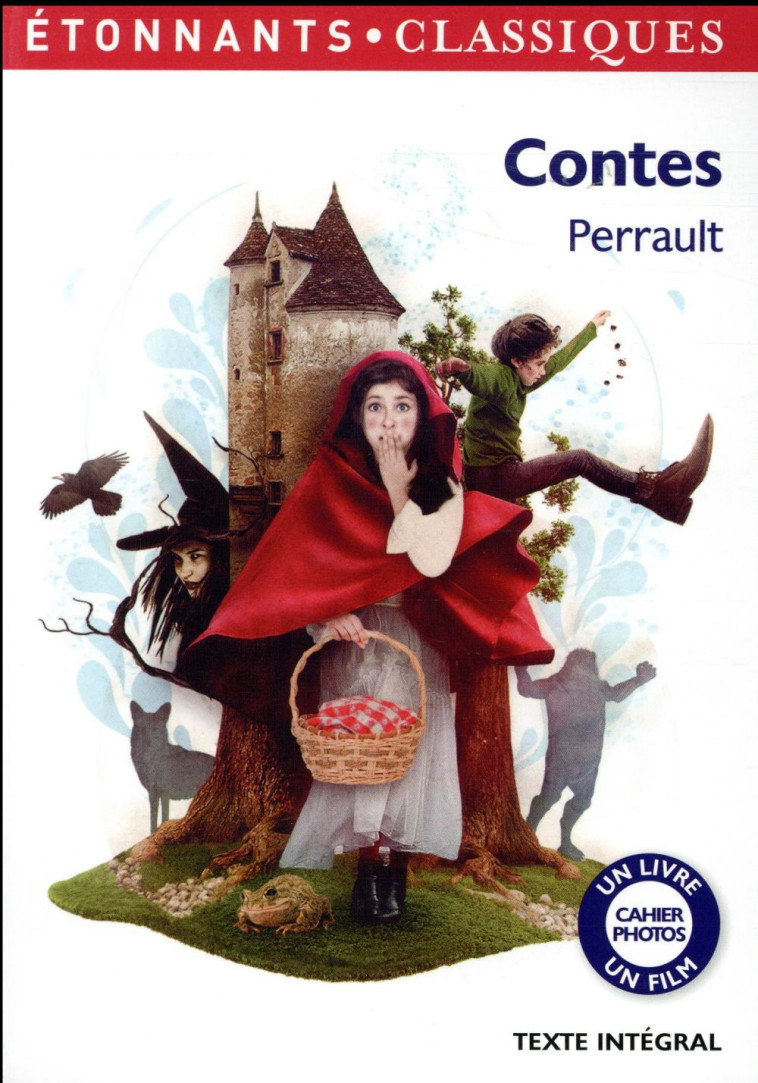 CONTES - PERRAULT CHARLES - Flammarion