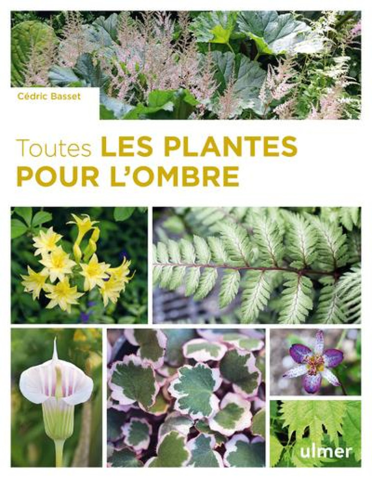 TOUTES LES PLANTES POUR L-OMBRE - BASSET CEDRIC - ULMER