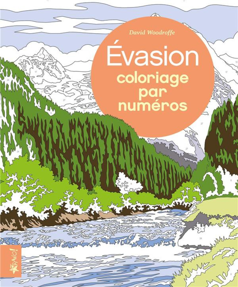 EVASION - COLORIAGE PAR NUMEROS - WOODROFFE DAVID - BRAVO