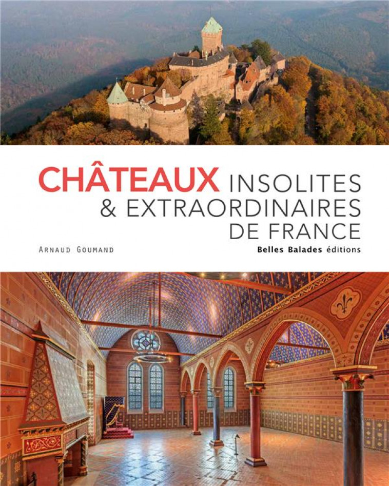 CHATEAUX INSOLITES ET EXTRAORDINAIRES DE FRANCE - GOUMAND ARNAUD - DAKOTA