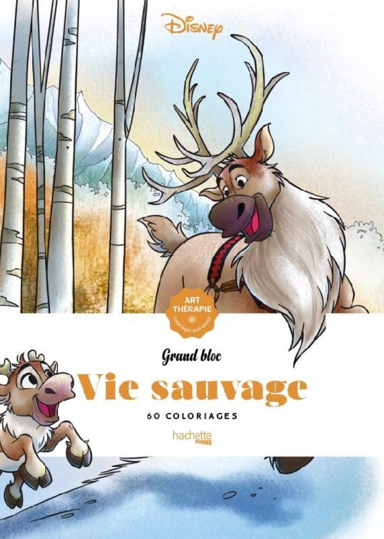 GRAND BLOC DISNEY VIE SAUVAGE - GUERIN JEAN-LUC - HACHETTE