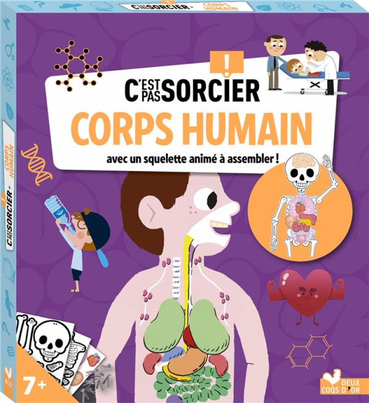 C-EST PAS SORCIER CORPS HUMAIN - BOITE AVEC ACCESSOIRES - XXX - HACHETTE