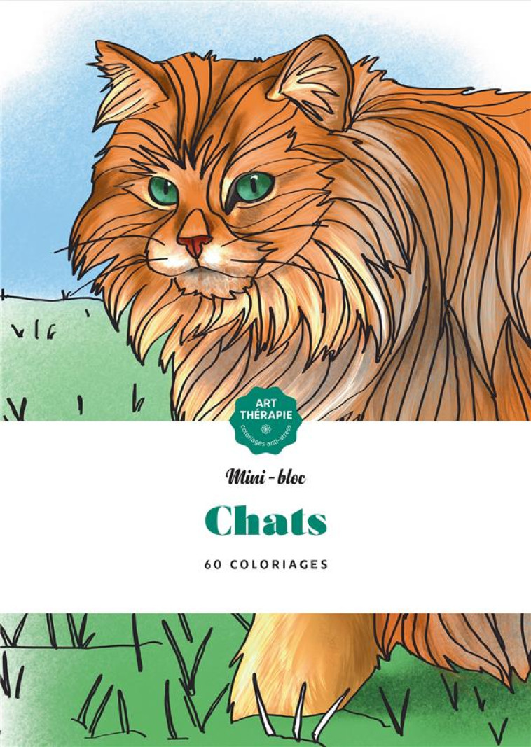 CHATS - NAYE KARINE - HACHETTE