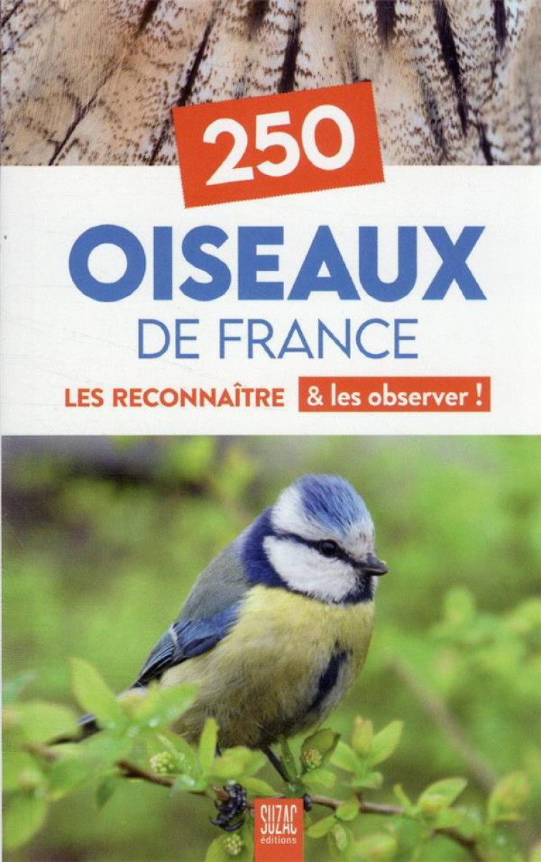 250 OISEAUX DE FRANCE - LES RECONNAITRE & LES OBSERVER ! - COLLECTIF - DU LUMIGNON