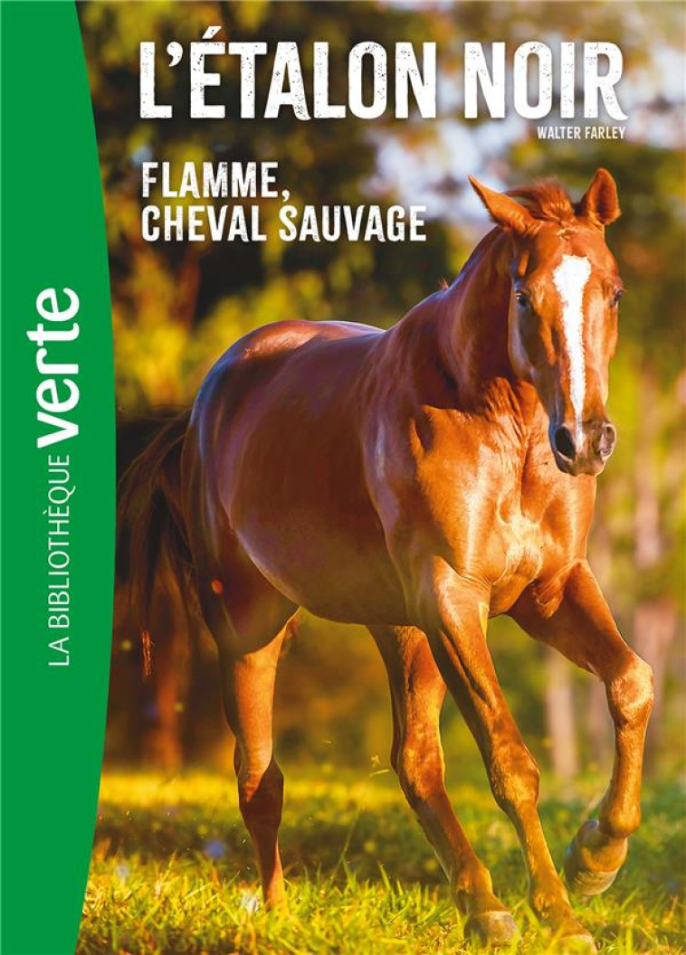 L'ETALON NOIR - T10 - L'ETALON NOIR NED 10 -  FLAMME CHEVAL SAUVAGE - FARLEY WALTER - HACHETTE