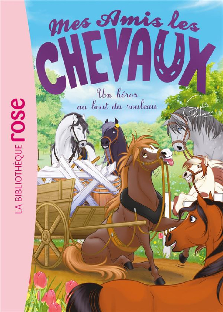 MES AMIS LES CHEVAUX - SOPHIE THALMANN - T41 - MES AMIS LES CHEVAUX 41 - UN HEROS AU BOUT DU ROULEAU - THALMANN SOPHIE - HACHETTE