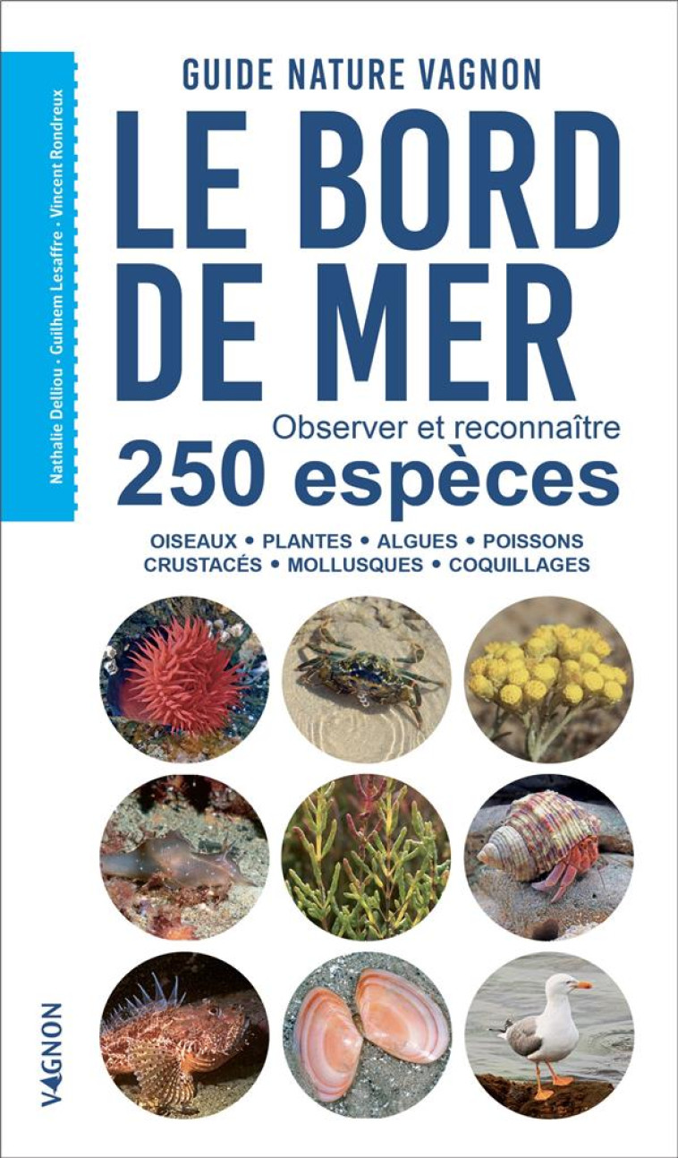 GUIDE NATURE VAGNON - LE BORD DE MER - OBSERVER ET RECONNAITRE 250 ESPECES - DELLIOU/HASSANI - VAGNON