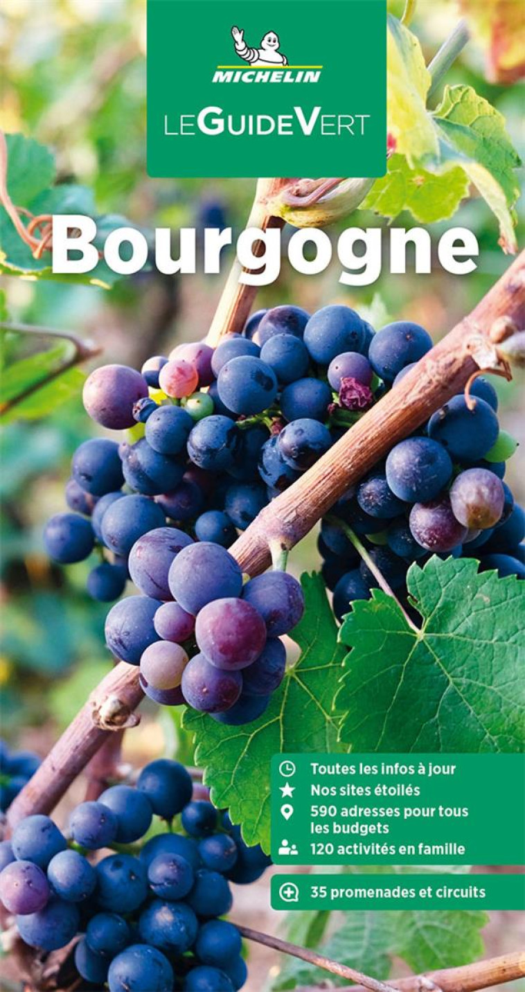 GUIDE VERT BOURGOGNE MICHELIN - XXX - MICHELIN