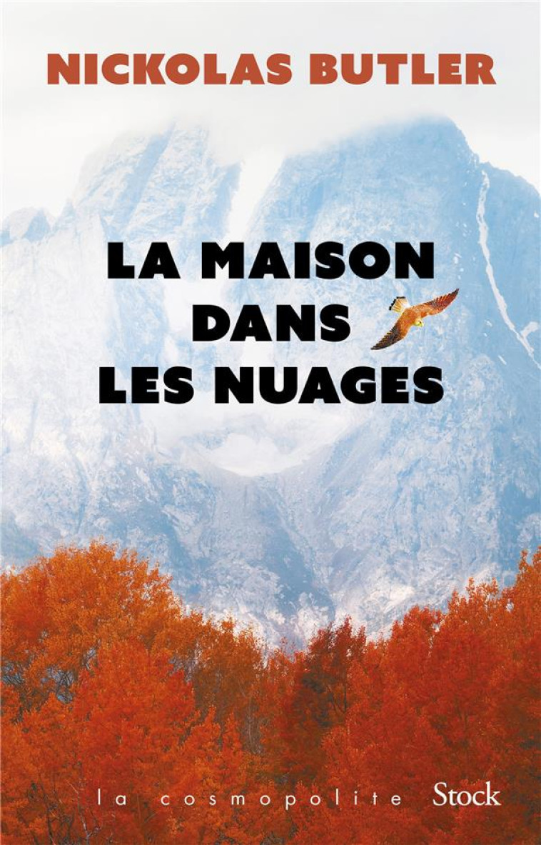 LA MAISON DANS LES NUAGES - BUTLER NICKOLAS - STOCK