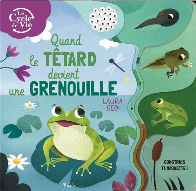 QUAND LE TETARD DEVIENT UNE GRENOUILLE - CONSTRUIS TA MAQUETTE ! - DEO LAURA - PICCOLIA