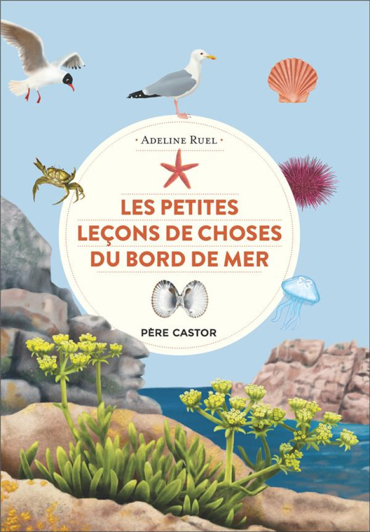 LES PETITES LECONS DE CHOSES DU BORD DE MER - RUEL ADELINE - FLAMMARION