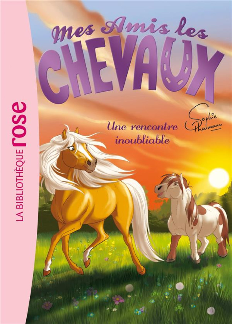 MES AMIS LES CHEVAUX - SOPHIE THALMANN - T06 - MES AMIS LES CHEVAUX 06 - UNE RENCONTRE INOUBLIABLE - LIVRE HACHETTE - Hachette Jeunesse