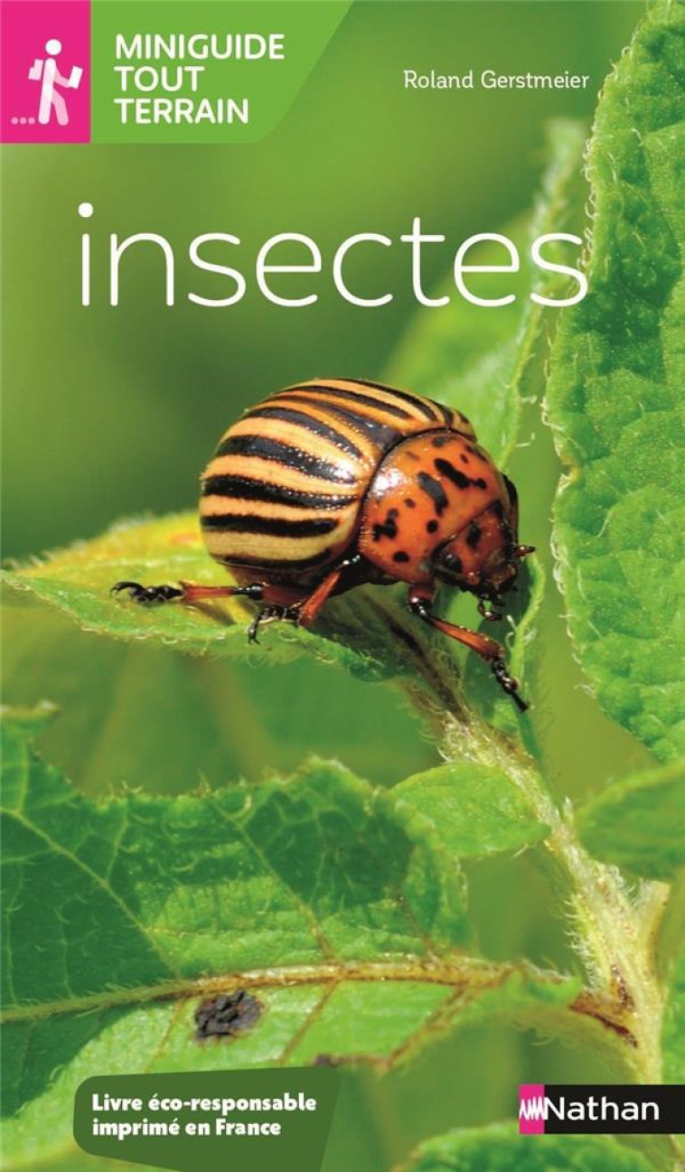 MINIGUIDE TOUT TERRAIN : INSECTES - GERSTMEIER ROLAND - CLE INTERNAT