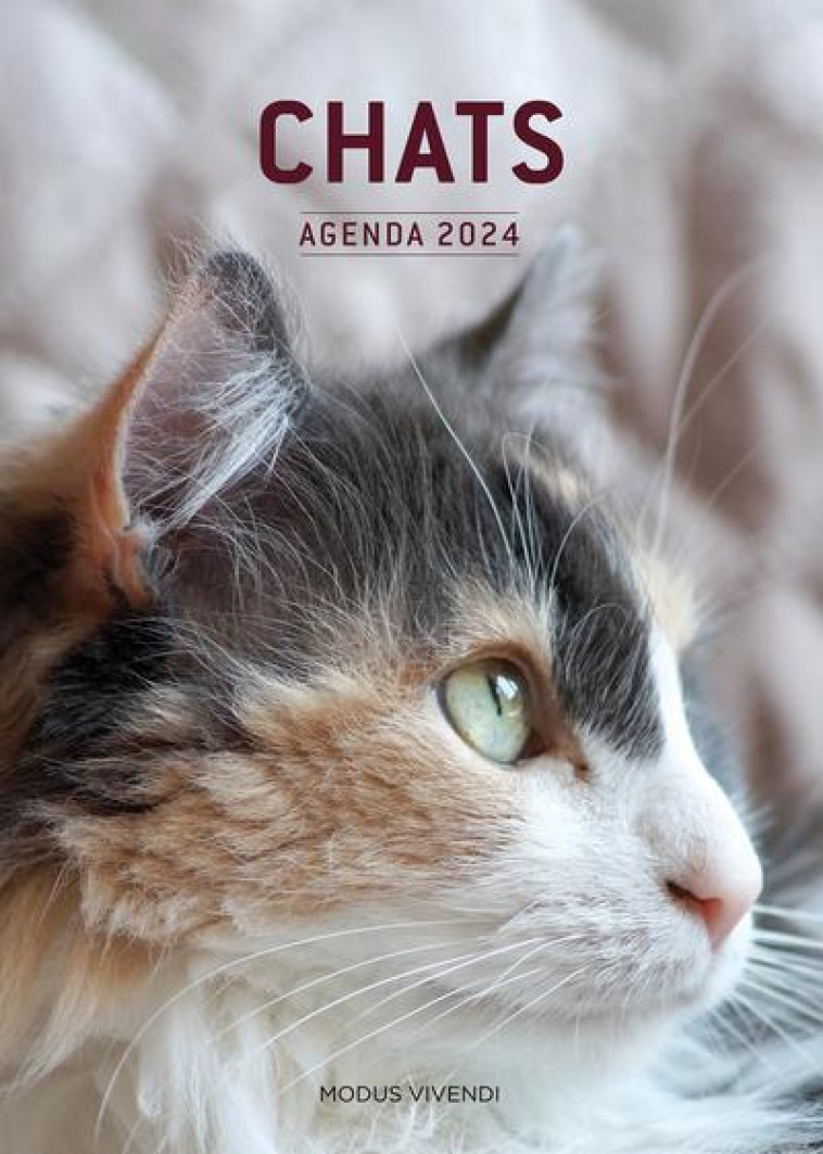 CHATS - AGENDA 2024 - COLLECTIF - NC