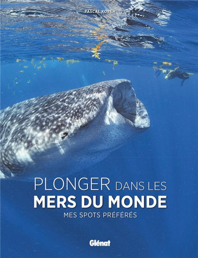 PLONGER DANS LES MERS DU MONDE - MES SPOTS PREFERES - KOBEH/PERRIN - GLENAT