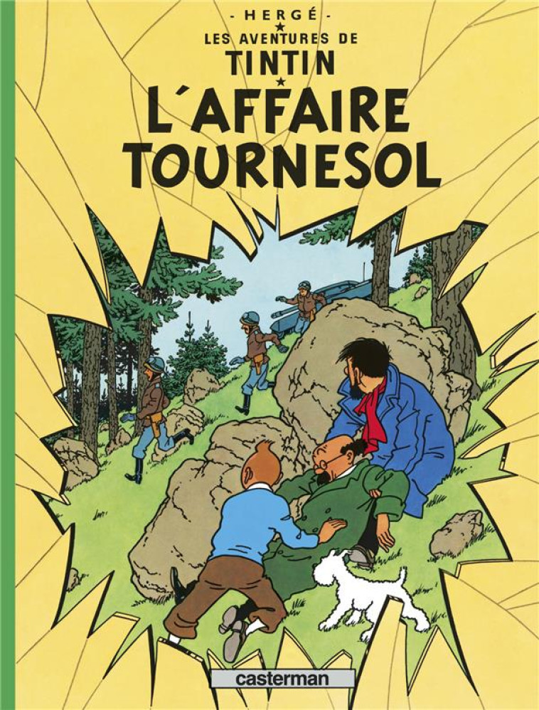 TINTIN - T18 - L'AFFAIRE TOURNESOL - HERGE - CASTERMAN