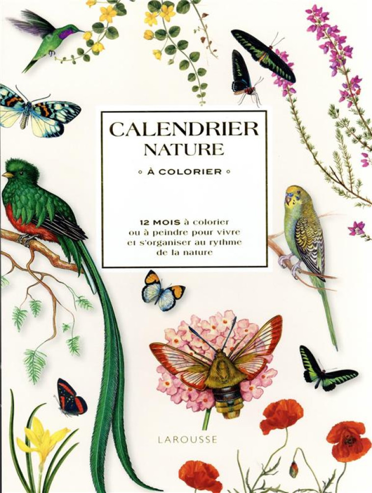 CALENDRIER NATURE A COLORIER - XXX - NC