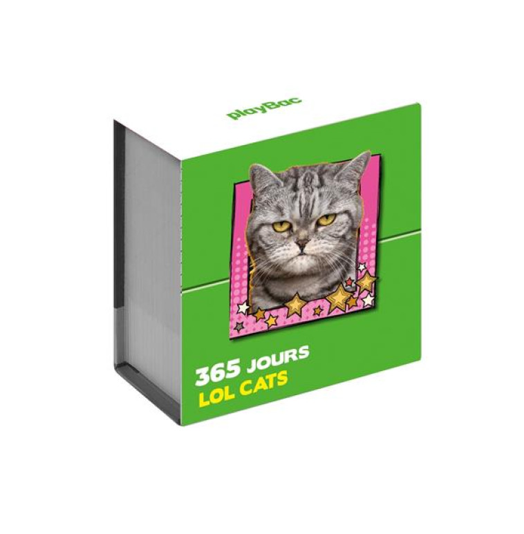 MINI CALENDRIER 365 JOURS LOL CATS - COLLECTIF - PRISMA