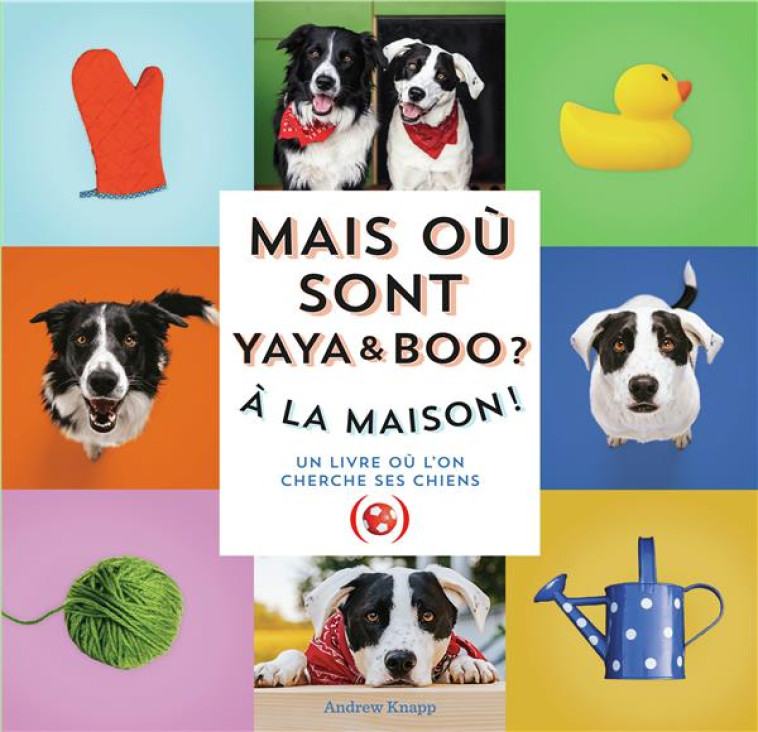 MAIS OU SONT YAYA ET BOO ? - A LA MAISON ! - KNAPP ANDREW - GRANDES PERSONN