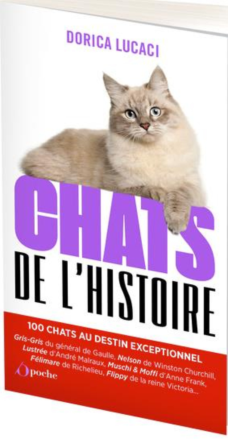 CHATS DE L'HISTOIRE - 100 CHATS AU DESTIN EXCEPTIONNEL - LUCACI DORICA - L ETUDIANT