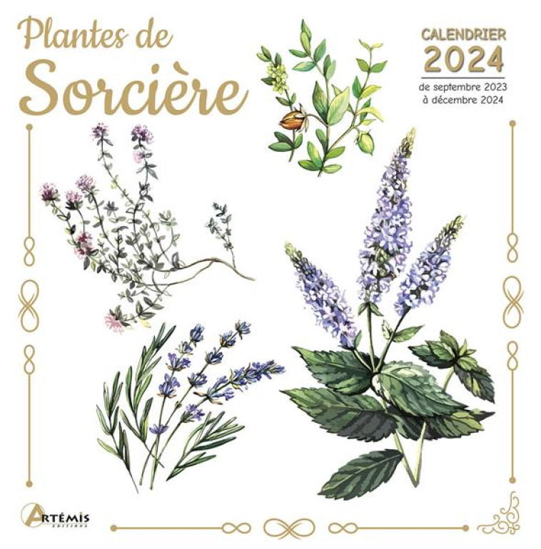 CALENDRIER PLANTES DE SORCIERE 2024 - COLLECTIF - NC