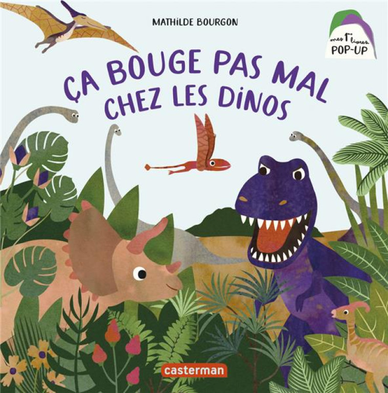 CA BOUGE PAS MAL CHEZ LES DINOS - BOURGON MATHILDE - CASTERMAN