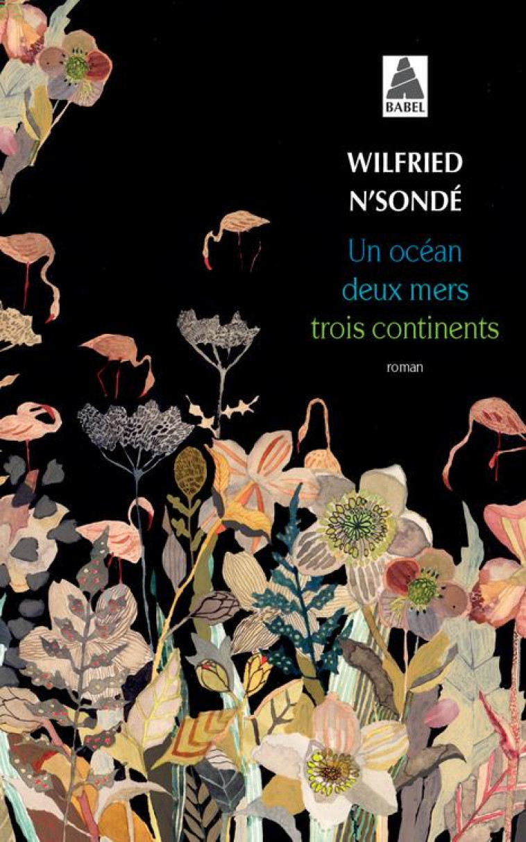 UN OCEAN, DEUX MERS, TROIS CONTINENTS - N'SONDE WILFRIED - ACTES SUD