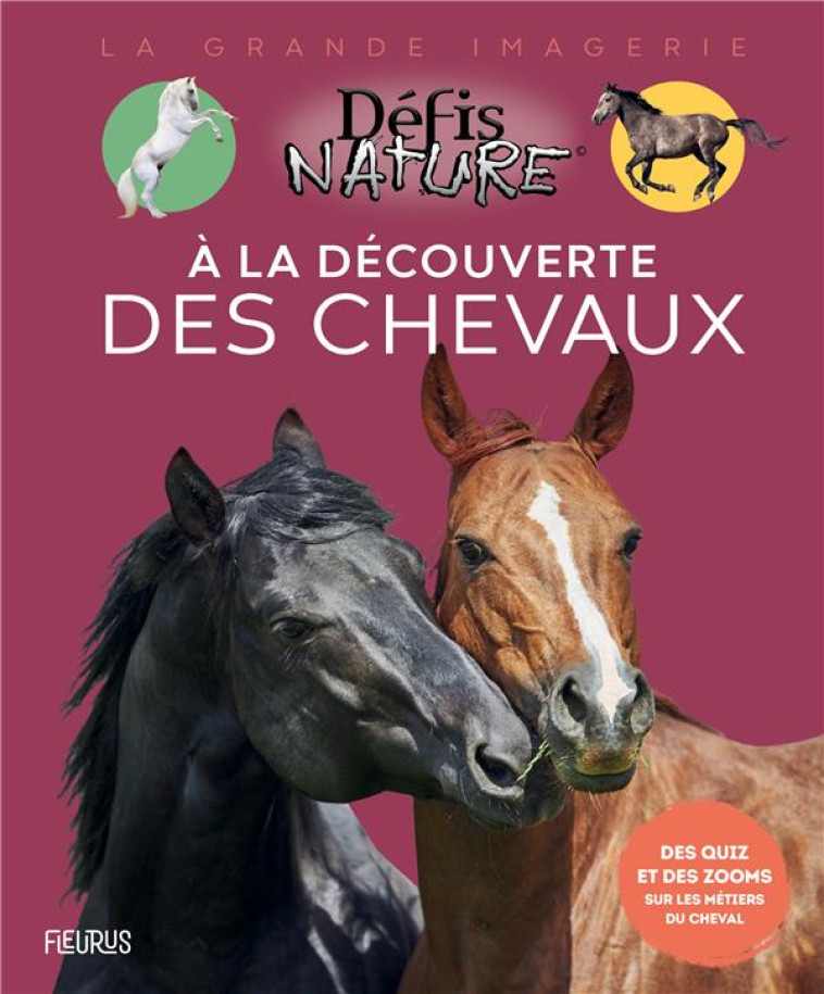 A LA DECOUVERTE DES CHEVAUX - NEVEUX CLAIRE - FLEURUS