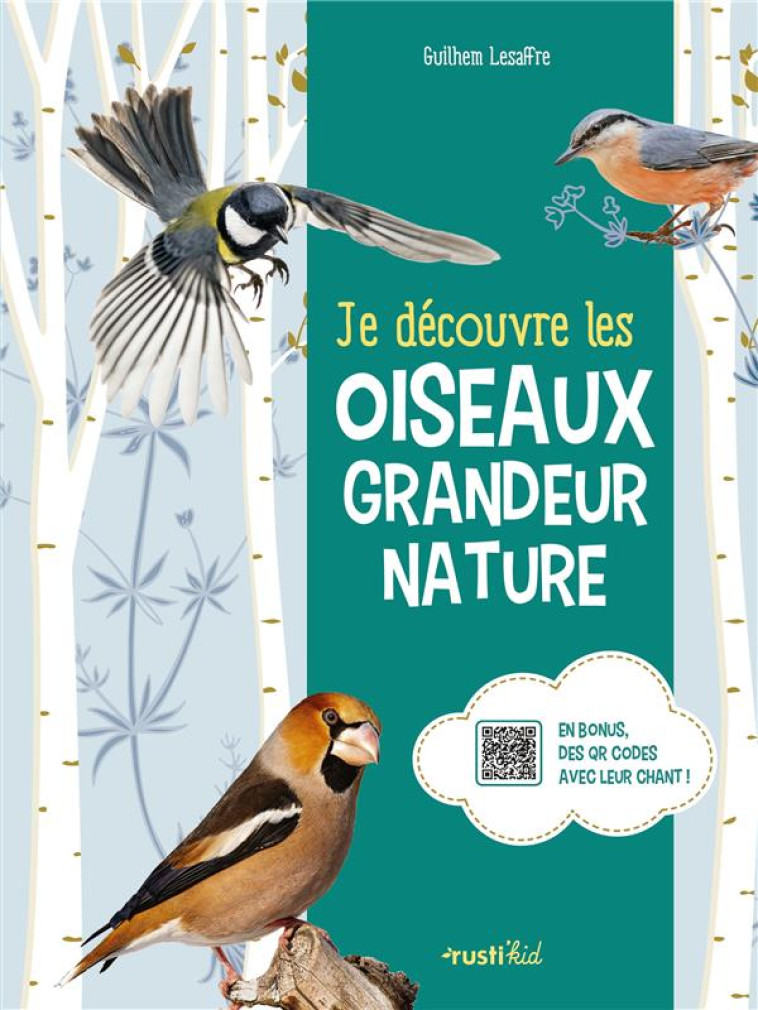 JE DECOUVRE LES OISEAUX GRANDEUR NATURE - XXX - RUSTICA