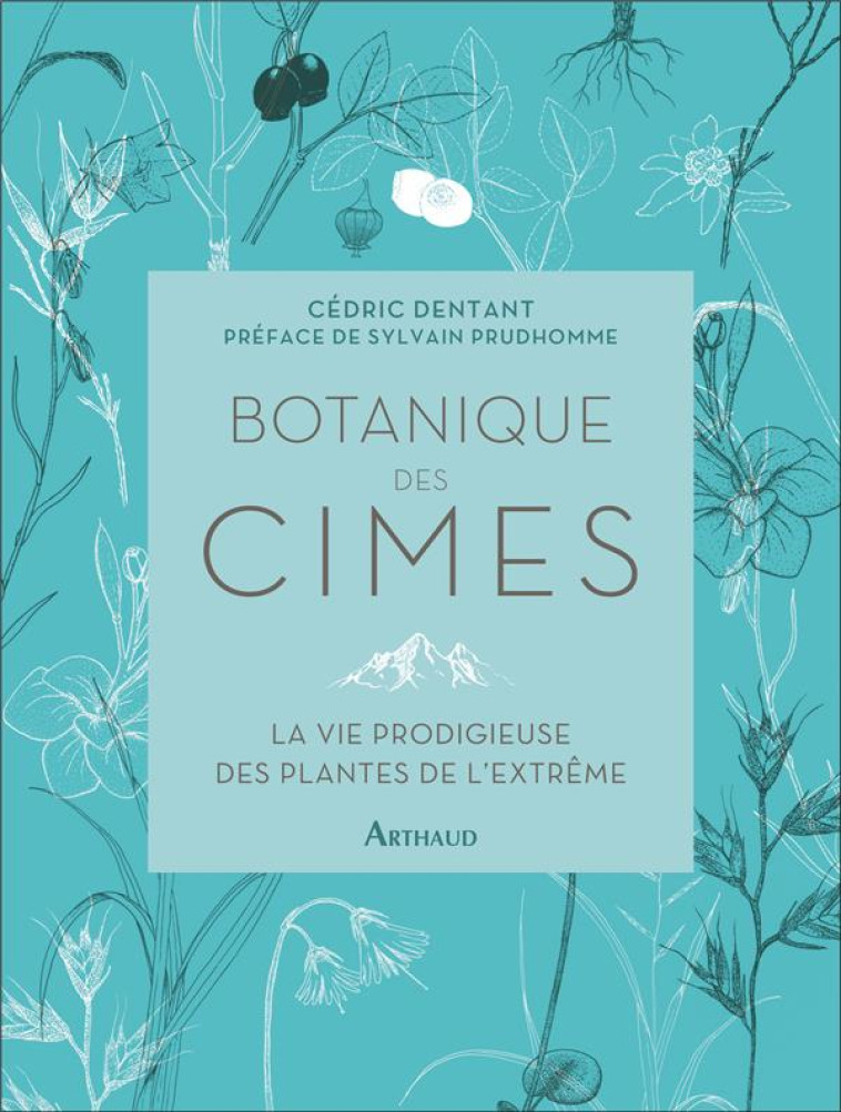 BOTANIQUE DES CIMES - LA VIE PRODIGIEUSE DES PLANTES DE L-EXTREME - DENTANT/PRUDHOMME - FLAMMARION