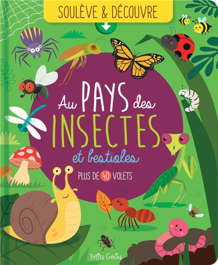 SOULEVE ET DECOUVRE - AU PAYS DES INSECTES ET BESTIOLES - PLUS DE 40 VOLETS - BOUCHER/ORDAS - NC