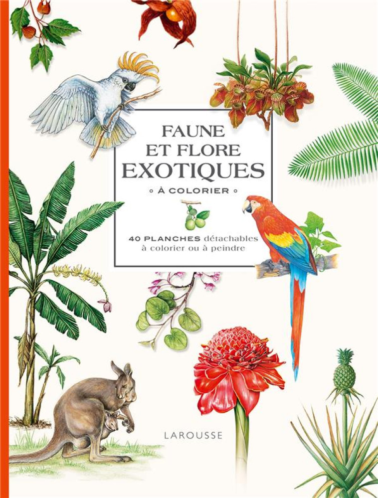 FAUNE ET FLORE EXOTIQUES A COLORIER - XXX - NC