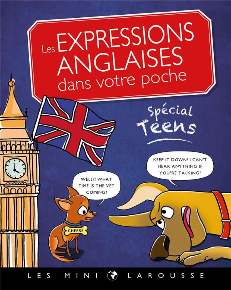 LES EXPRESSIONS ANGLAISES DANS VOTRE POCHE, SPECIAL TEENS - COLLECTIF - LAROUSSE