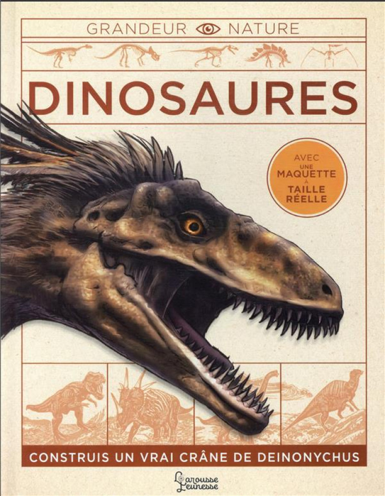 DINOSAURES - DICKMANN NANCY - LAROUSSE