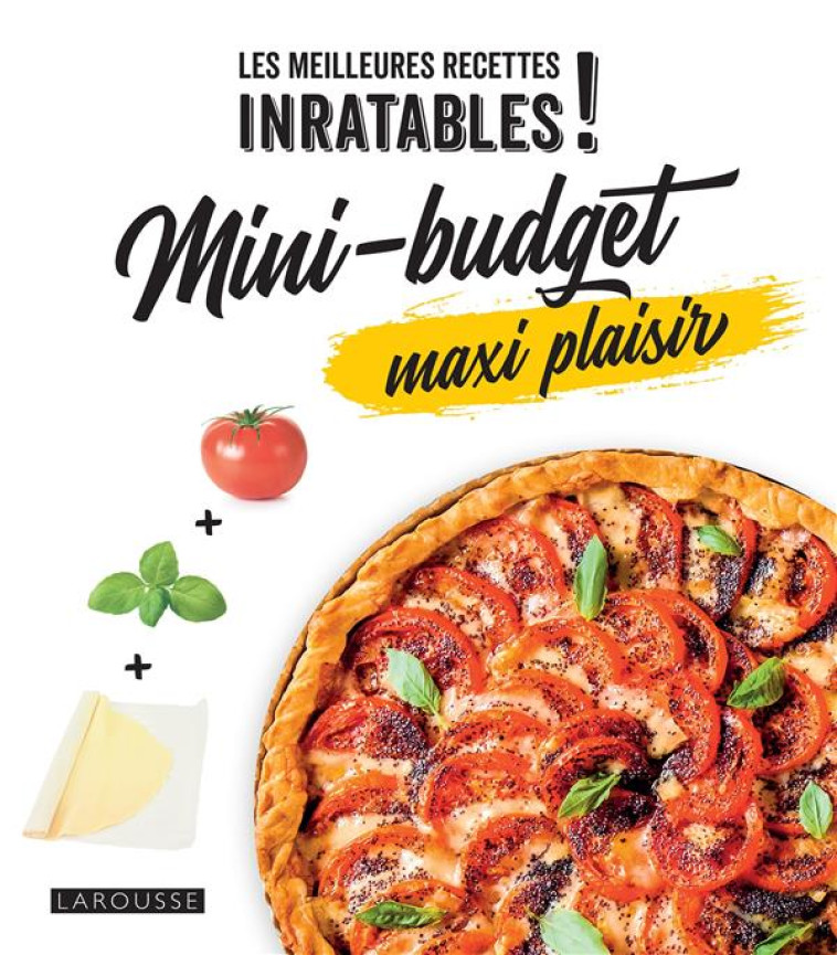 MINI-BUDGET MAXI PLAISIR - COLLECTIF/MARTIN - LAROUSSE