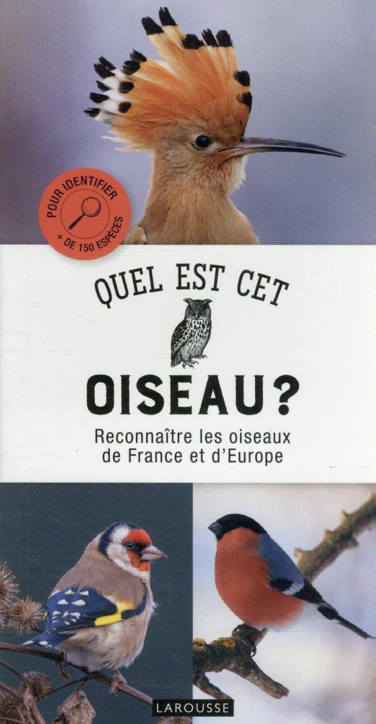 QUEL EST CET OISEAU ? - HUME ROB - LAROUSSE