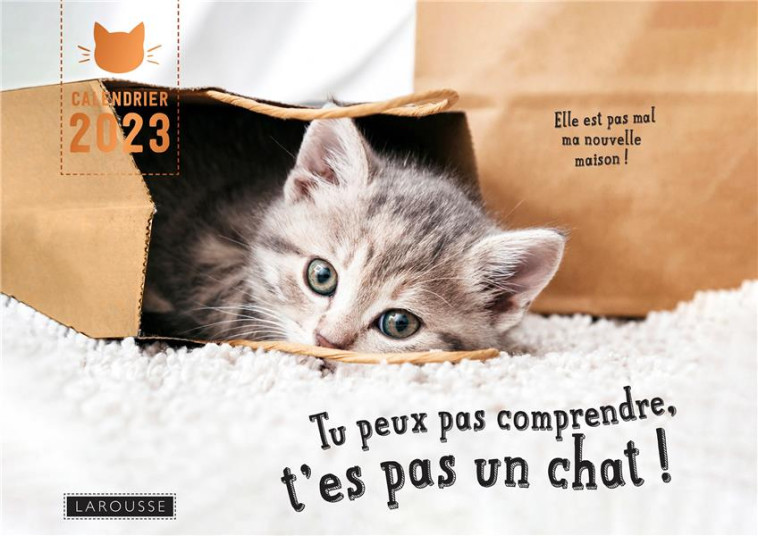 CALENDRIER TU PEUX PAS COMPRENDRE T-ES PAS UN CHAT - LEMOINE/ZABEE - NC