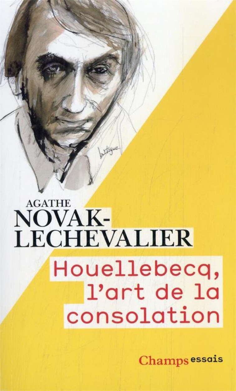 HOUELLEBECQ, L-ART DE LA CONSOLATION - NOVAK-LECHEVALIER A. - FLAMMARION