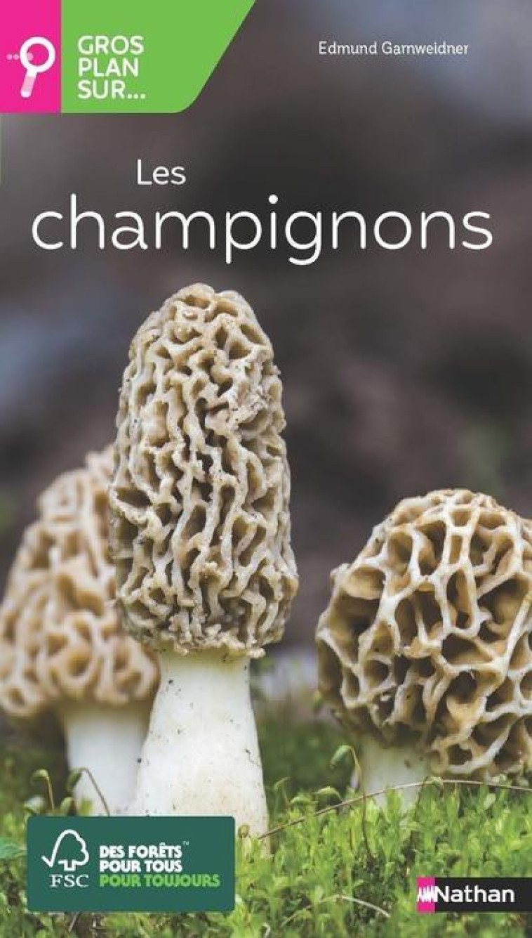 GROS PLAN SUR LES CHAMPIGNONS - GARNWEIDNER EDMUND - CLE INTERNAT