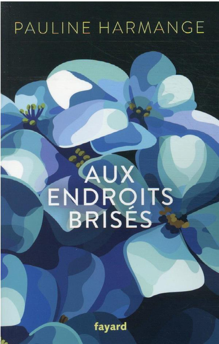 AUX ENDROITS BRISES - HARMANGE PAULINE - FAYARD