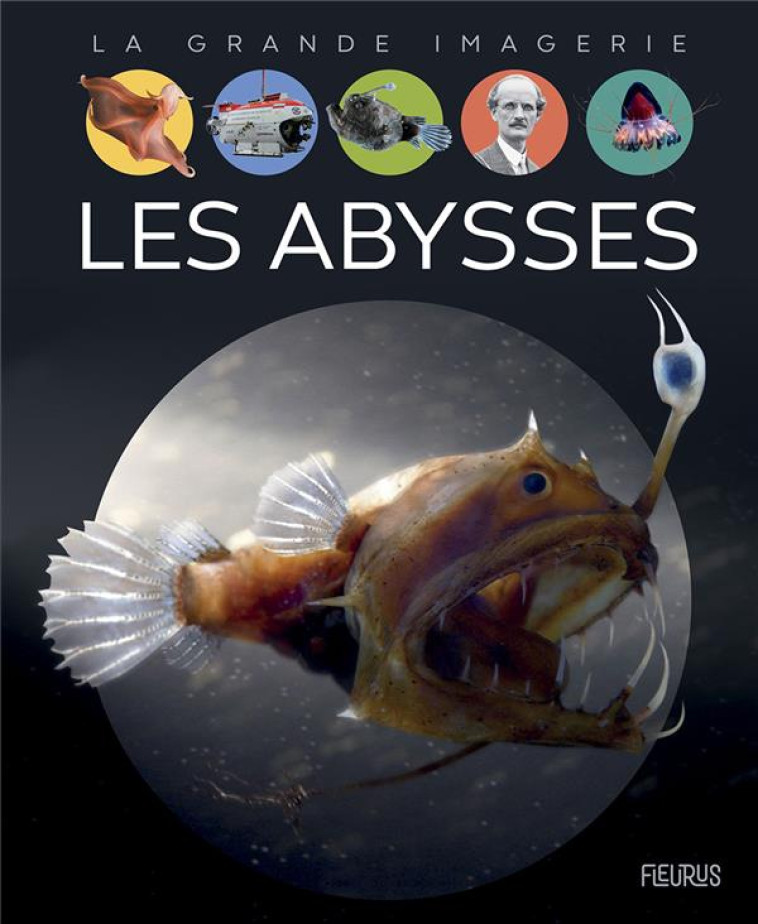 LES ABYSSES - CAMBOURNAC LAURE - FLEURUS