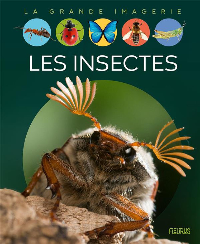 LES INSECTES - BEAUMONT/ALUNNI - FLEURUS