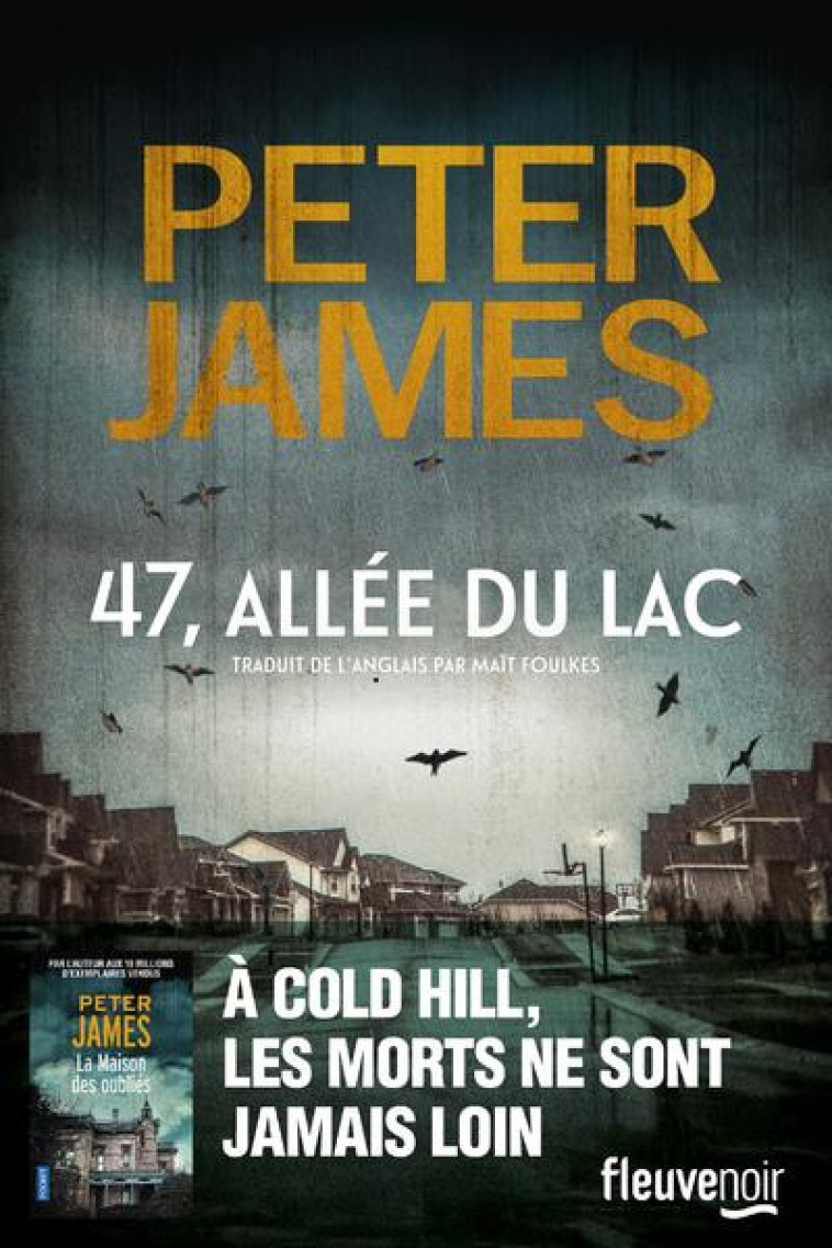 47, ALLEE DU LAC - JAMES PETER - FLEUVE NOIR